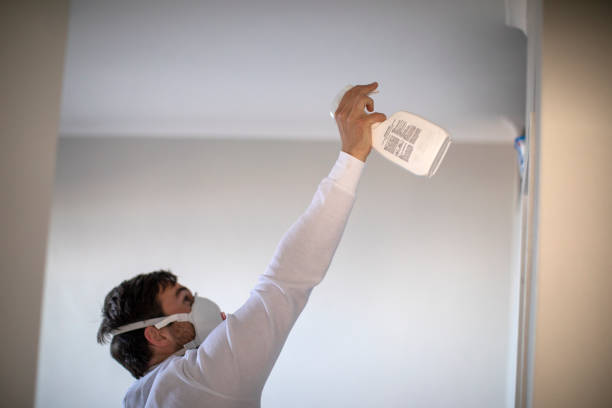 Best Attic Mold Removal  in Watertown, NY