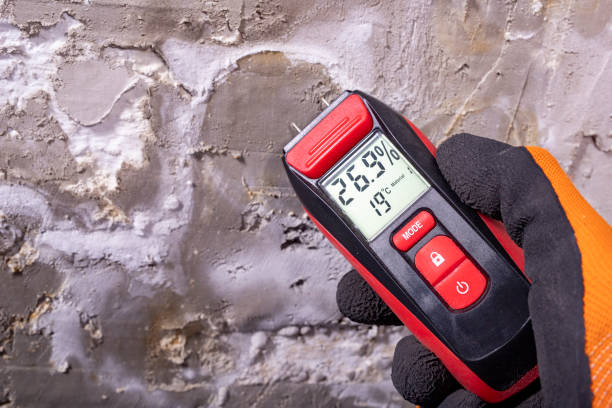 Best Emergency Mold Removal  in Watertown, NY
